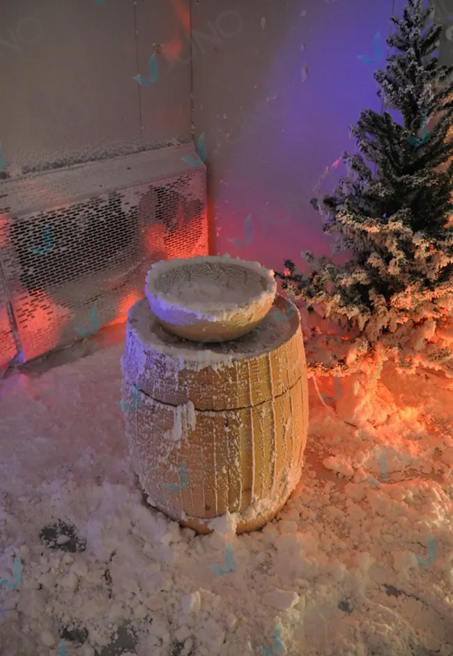 Conception et fabrication de cabines de neige — 20