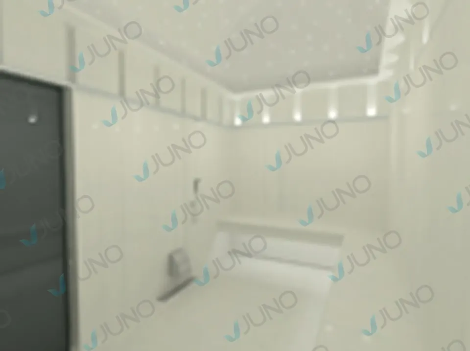 Steam Room Design and Manufacture — 26