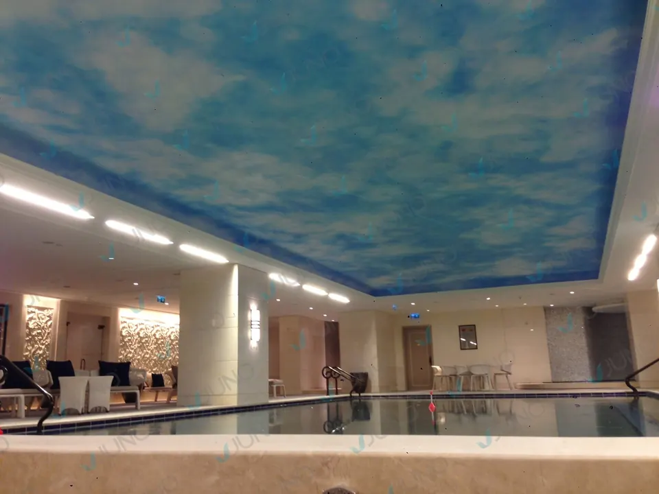 Swimming Pool Design and Manufacture — 10